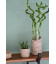 Vase Pye rotin blanc cérusé, modèle M